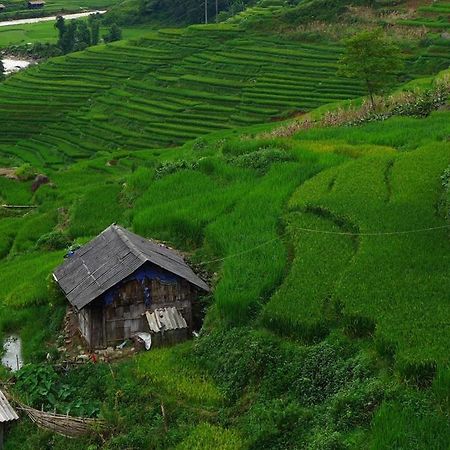 Freedom Homestay & Trekking Sapa Exterior foto