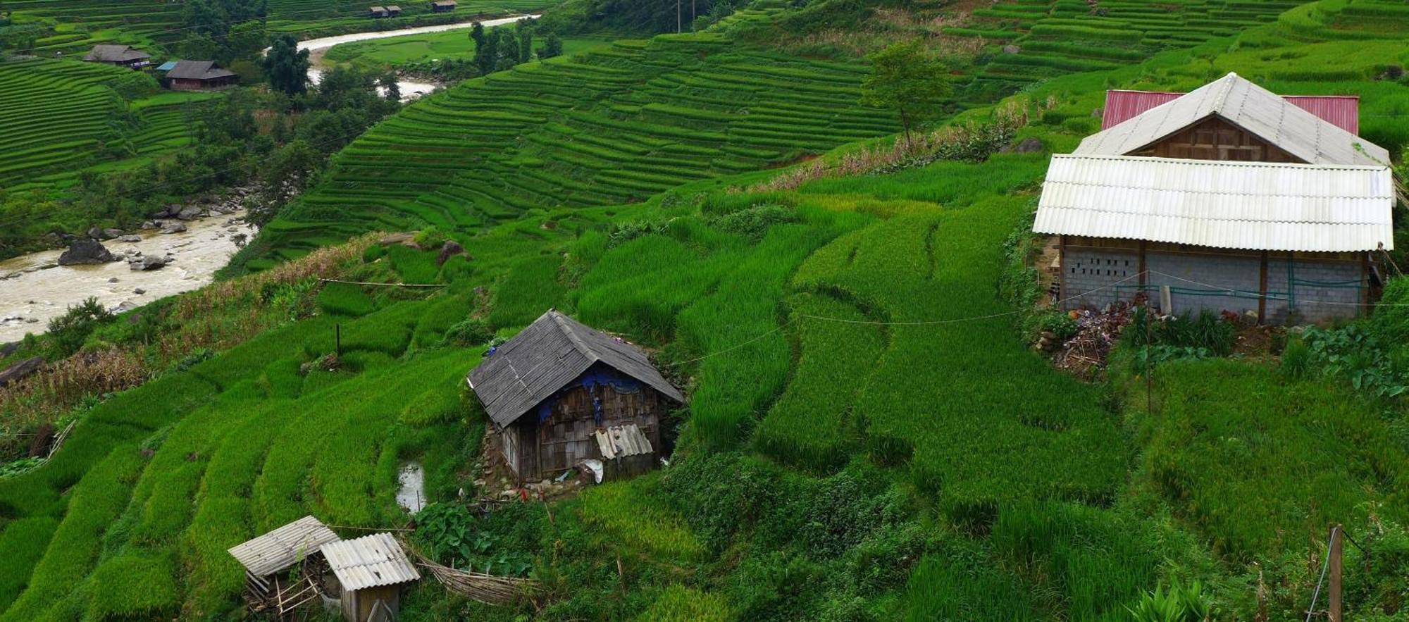 Freedom Homestay & Trekking Sapa Exterior foto