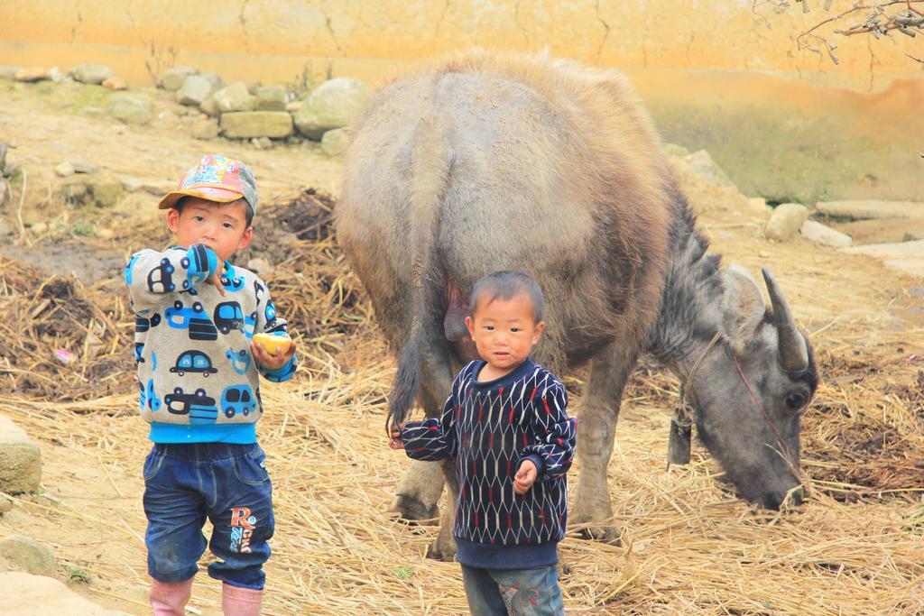 Freedom Homestay & Trekking Sapa Exterior foto