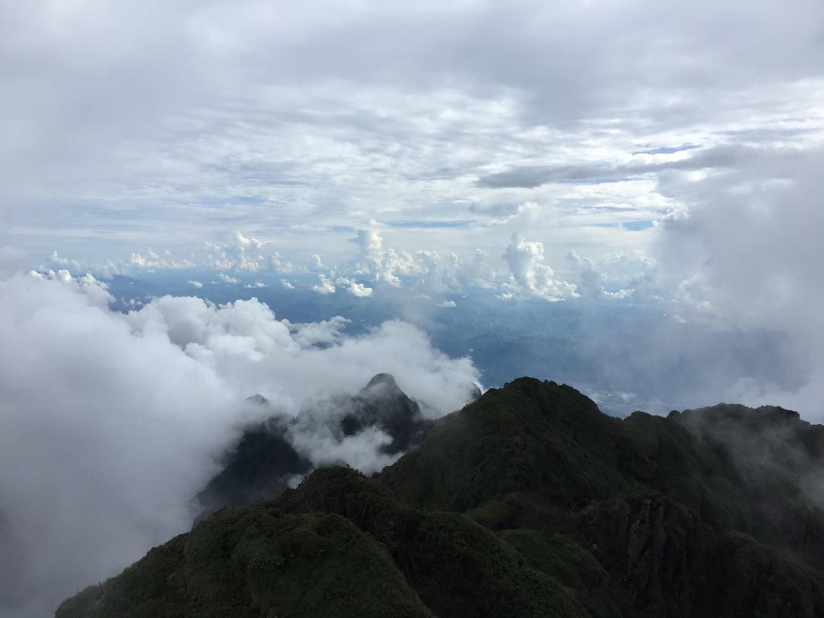 Freedom Homestay & Trekking Sapa Exterior foto